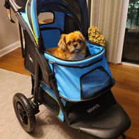 Gen7pets jogger outlet pet stroller